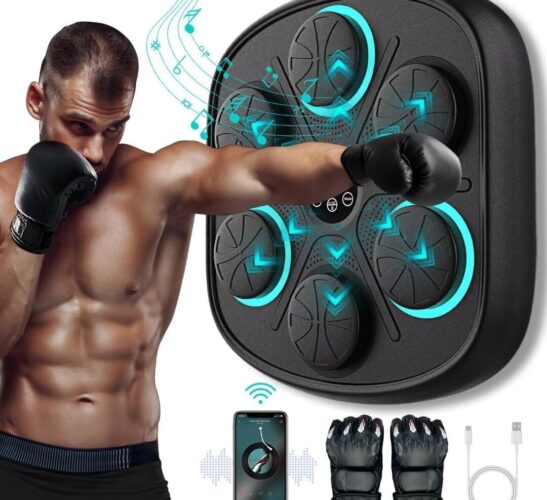 Boxing Gym Equipment