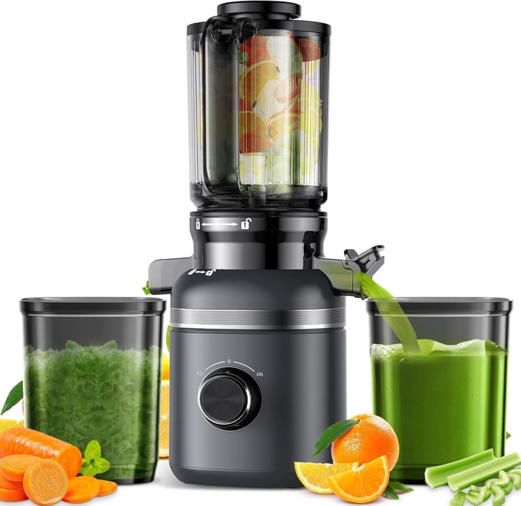 Masticating Juicers
