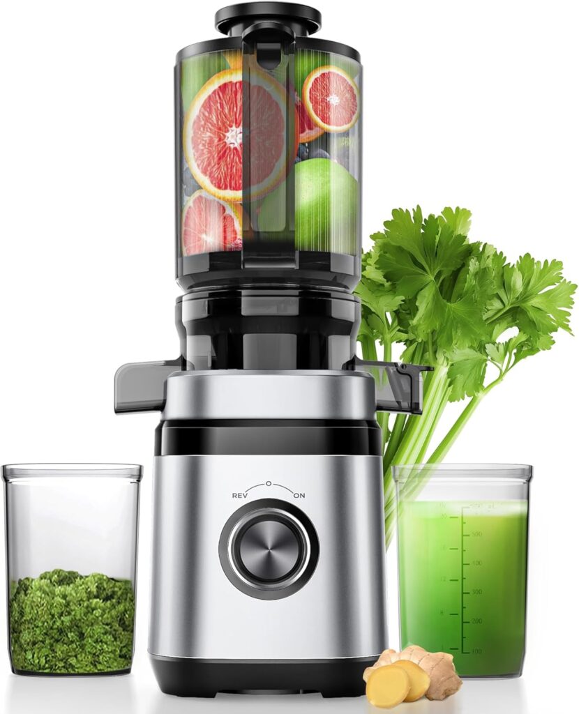 Masticating Juicers